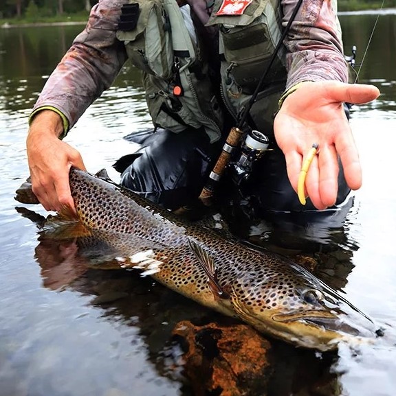 Das richtige Aroma beim Forellenangeln